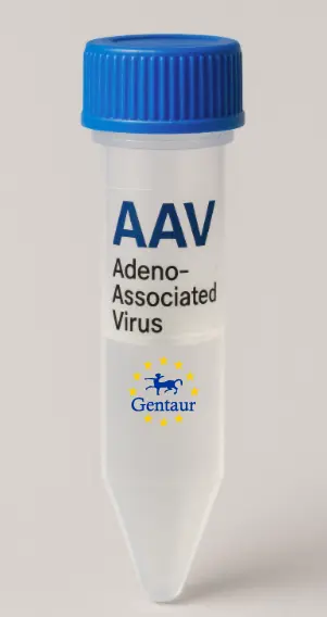 PROKR2 AAV Vector (Mouse) (CMV)